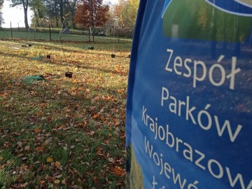 Nowy sad założony przy Parafii Kościoła Starokatolickiego Mariawitów w Dobrej 27.10.2021r. w ramach projektu Owoce pamięci, 